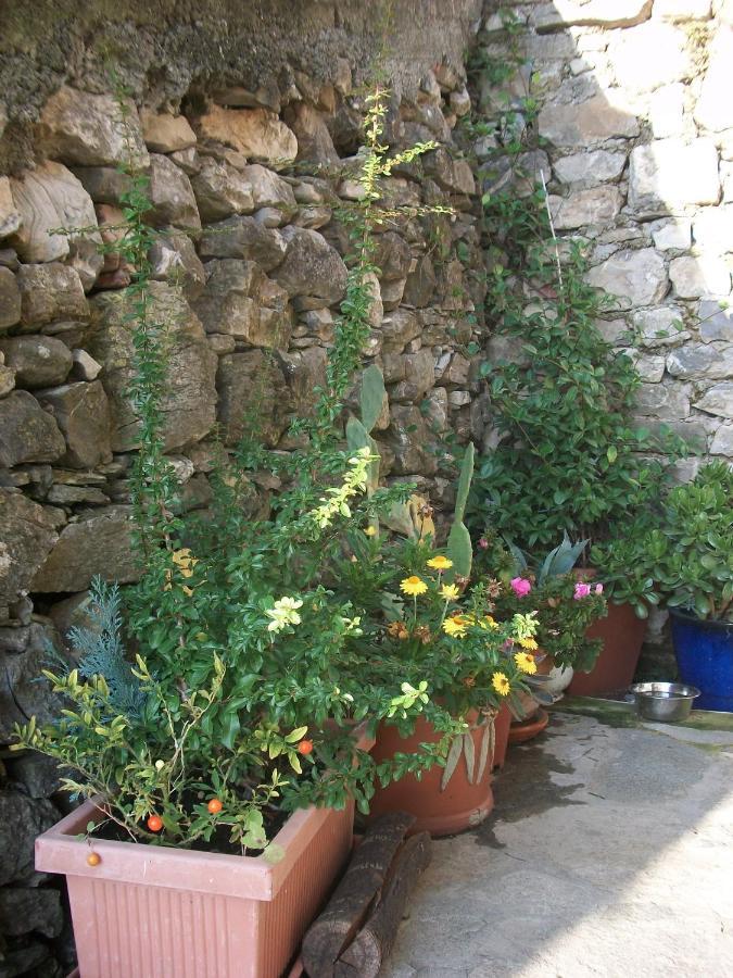 Chezcatherine Villa Sarzana Luaran gambar